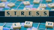 Lo stress: il punto di vista della psicoanalisi